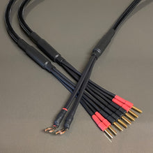 Load image into Gallery viewer, Diamond Series 2 Two-Four Bi-Wire Reference Speaker Cable