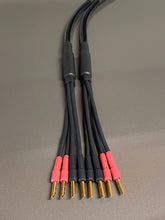 Load image into Gallery viewer, Diamond Series 2 Two-Four Bi-Wire Reference Speaker Cable