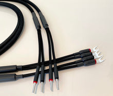 Load image into Gallery viewer, Diamond Series XSR Reference Speaker Cable